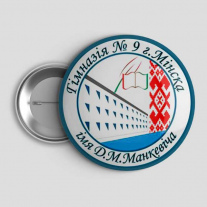 Значок Гимназия №9